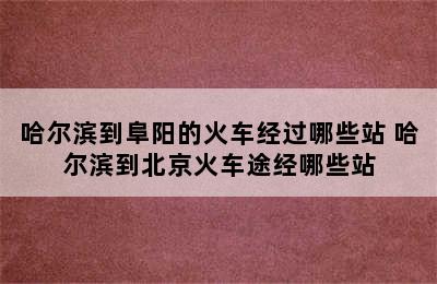 哈尔滨到阜阳的火车经过哪些站 哈尔滨到北京火车途经哪些站